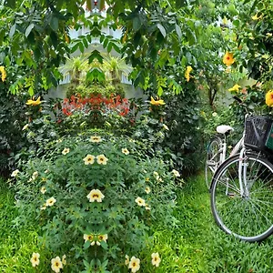 Star Garden , Hoi An Vietnam